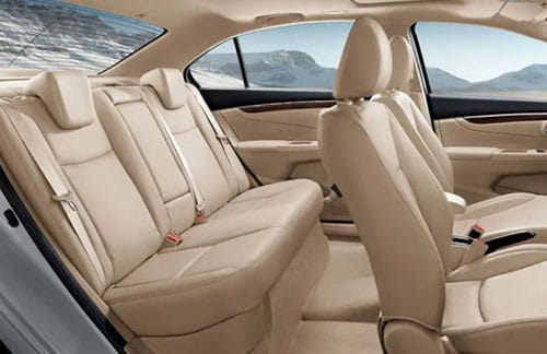 ����PURϵ��